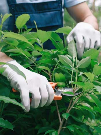 Von Bauschutt bis zu Grünschnitt – ich kümmere mich um die Entsorgung, damit Sie sich um wichtigere Dinge kümmern können.