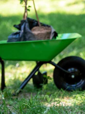 Braucht Ihr Garten eine Auffrischung? Ich bin zur Stelle, um Ihrem Rasen neuen Glanz zu verleihen und Ihre Hecke in Form zu bringen.